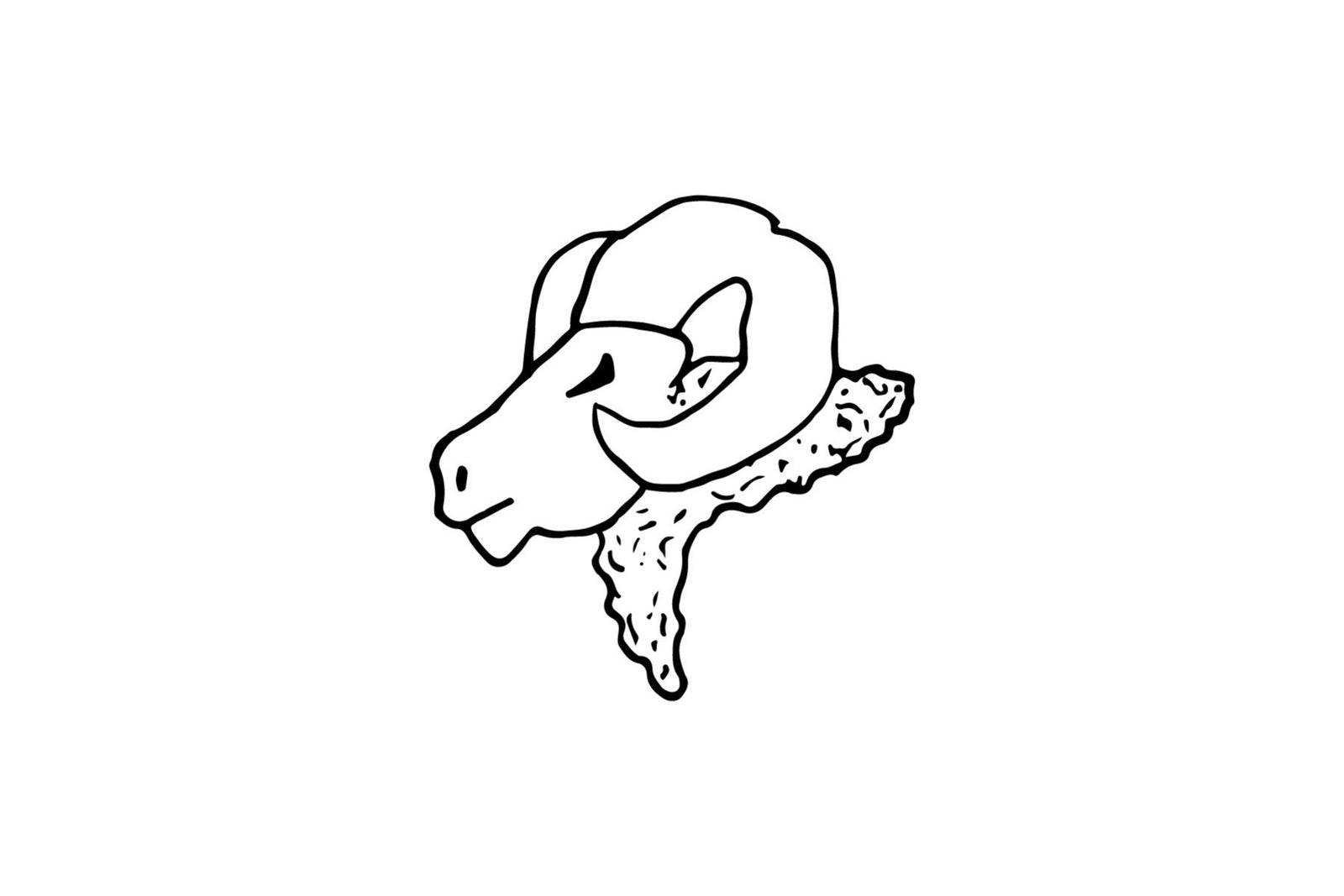 Merino Wool
