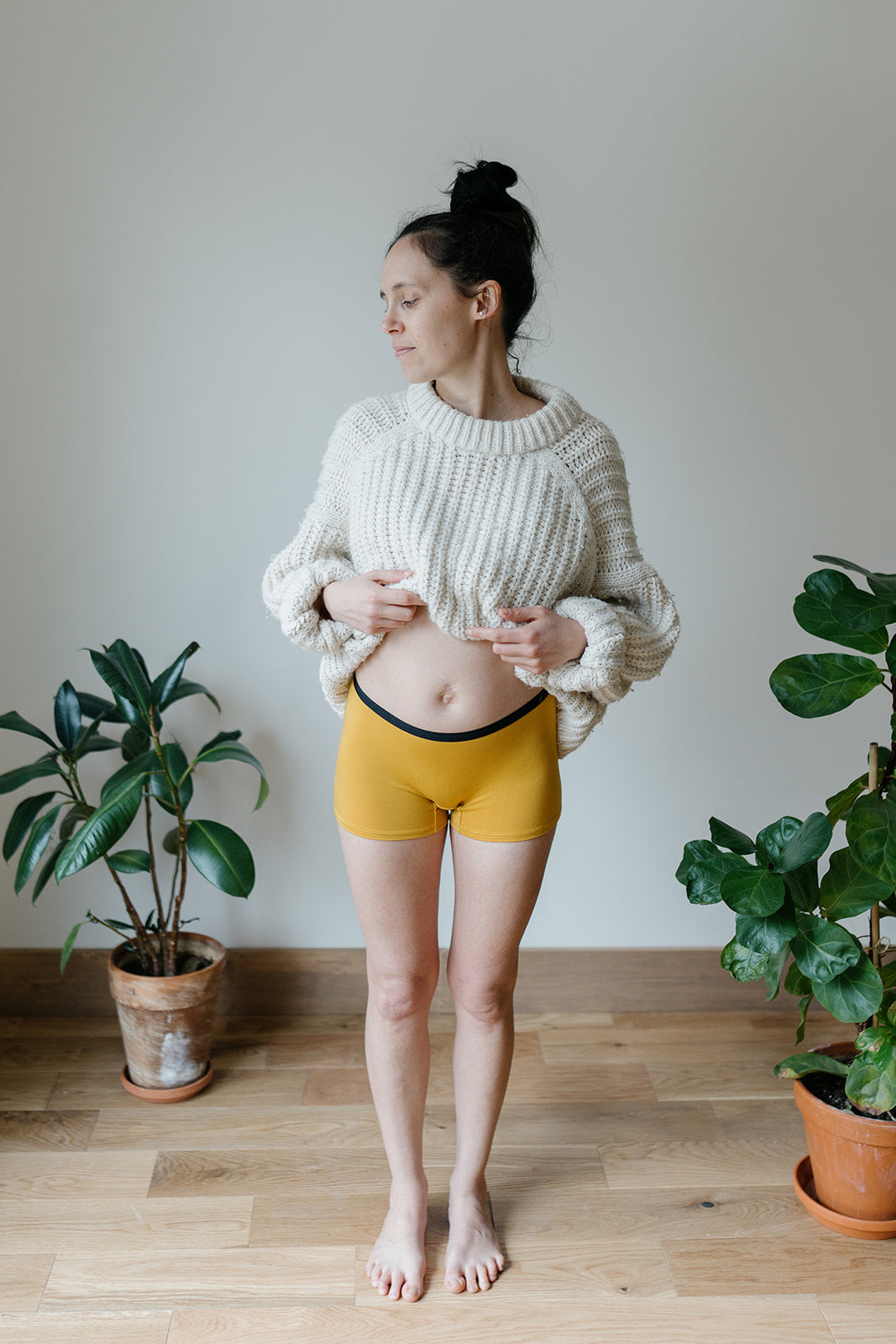 Le boxer globe-trotter