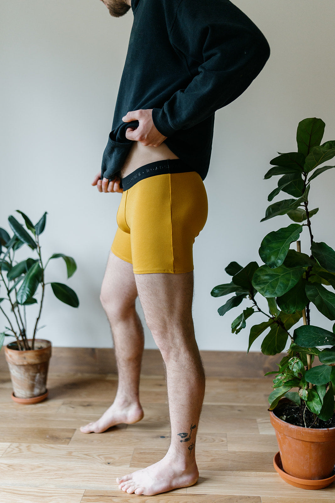 Le boxer classique - 5''