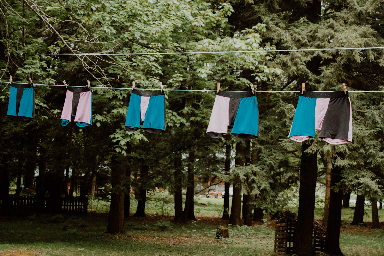 Men's boxers hanging on a clothesline in a forest setting