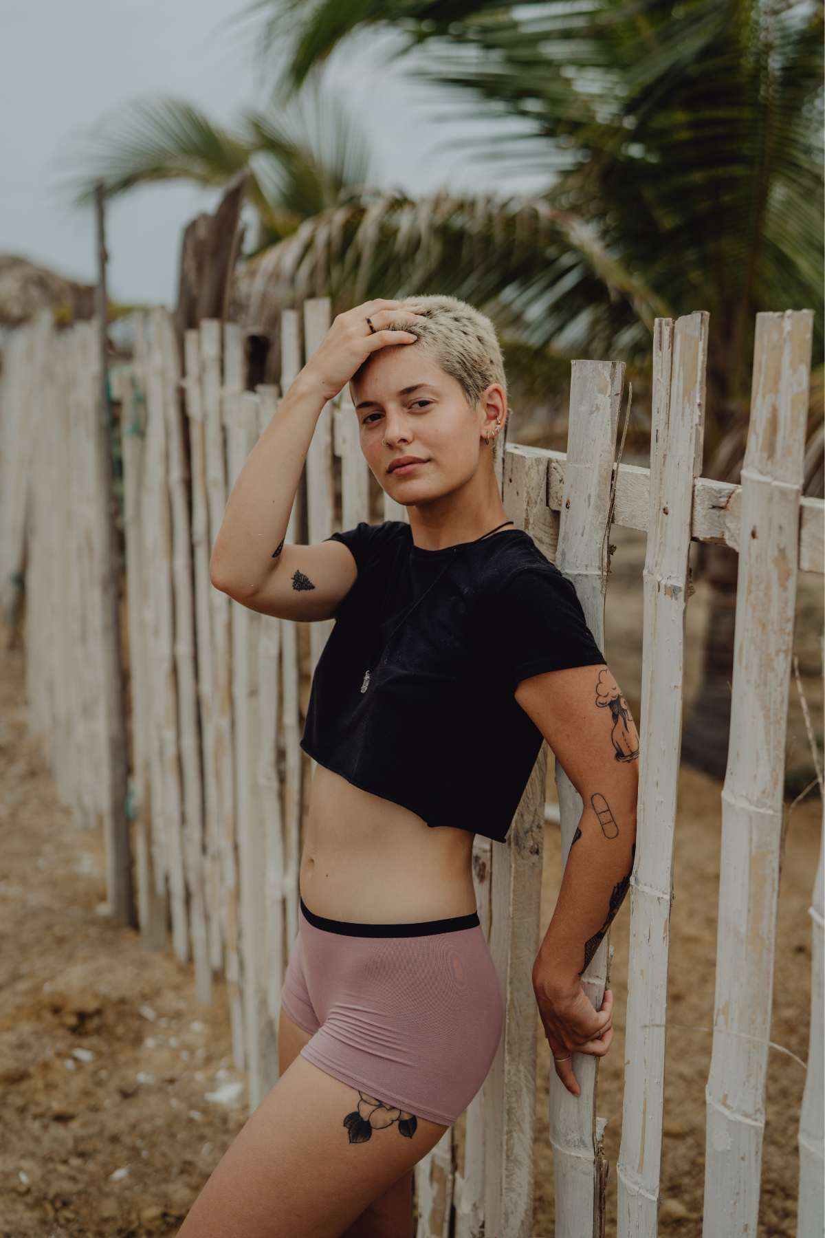 Le boxer globe-trotter