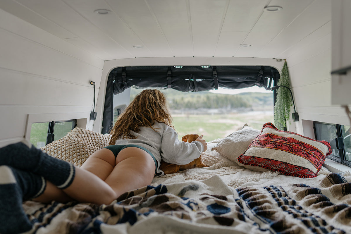 The Hipster Boybrief