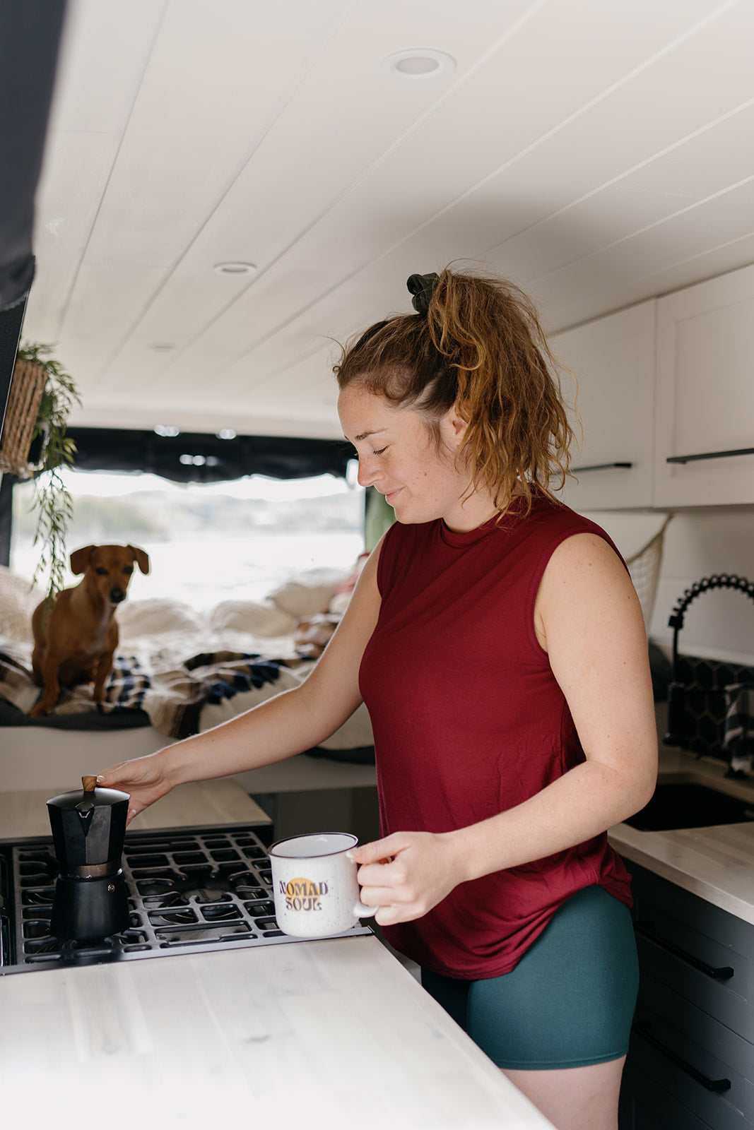 The Globetrotter Boxer