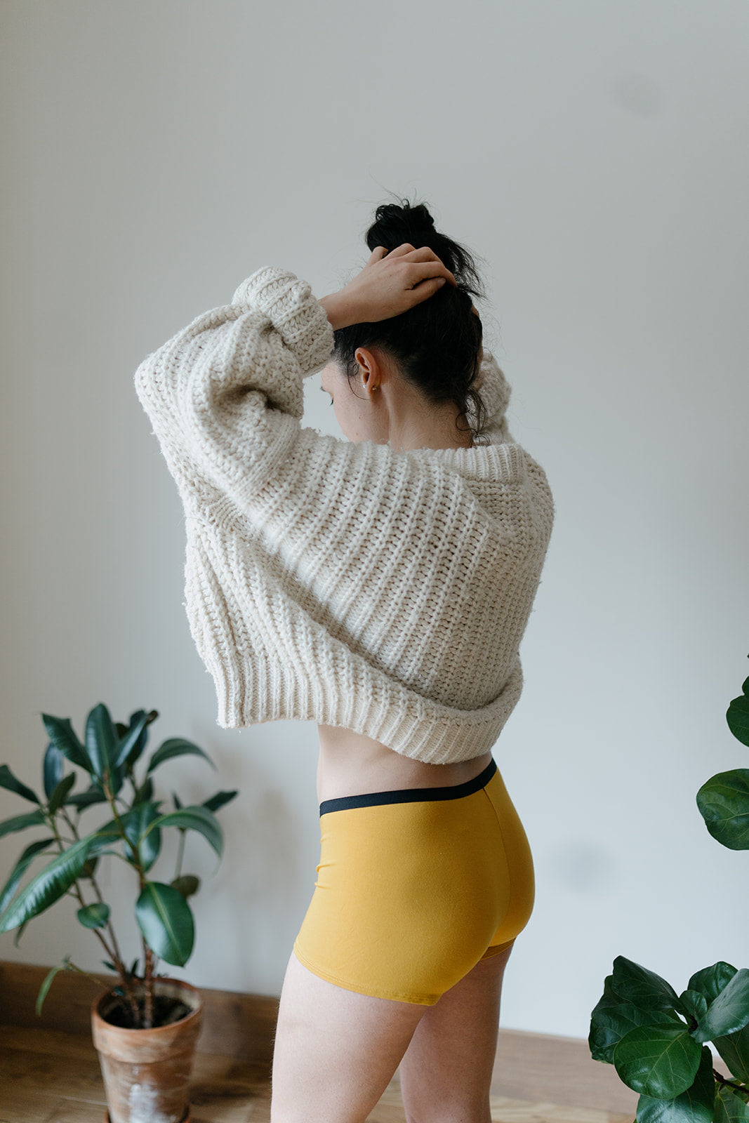 The Globetrotter Boxer