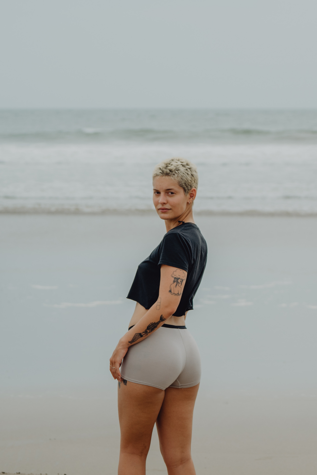 The Globetrotter Boxer