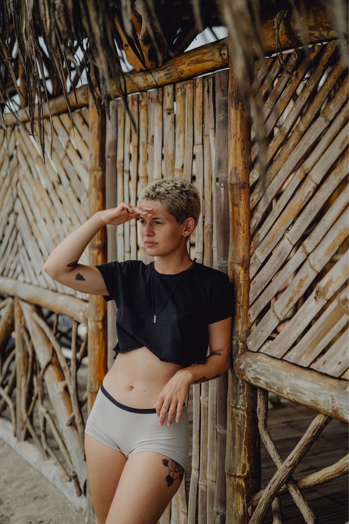 The Globetrotter Boxer