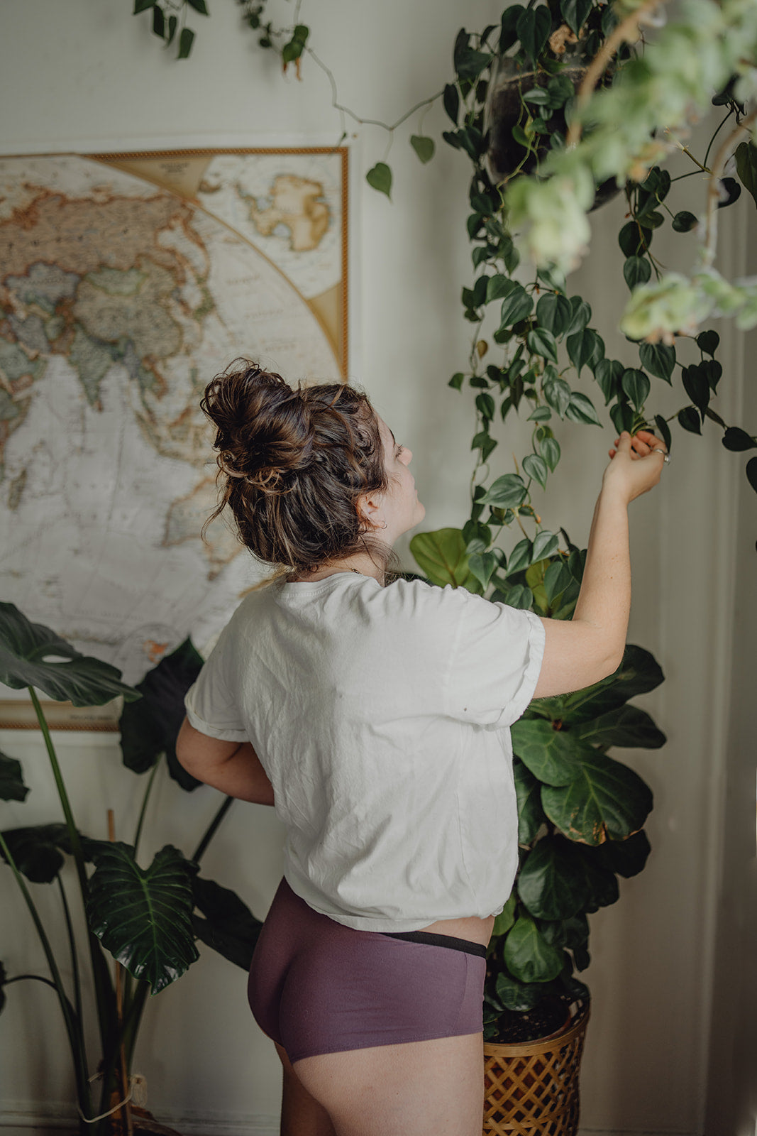 The Hipster Boybrief