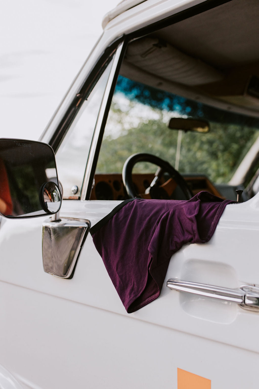 The Globetrotter Boxer